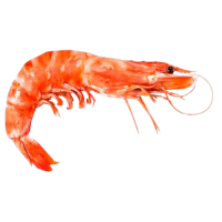 Креветка красная с головой в панцире L1, 2 кг