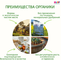 Каша HiPP (Хипп) безмолочная Кукурузная, 200 г