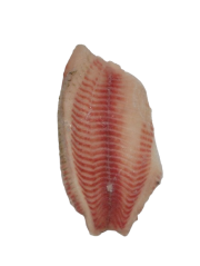 Филе тилапии без кожи IQF, размер 140-200 г, весовое