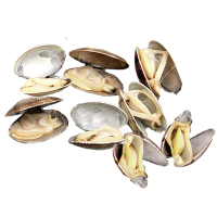 Клемы Вонголе в раковине варено-мороженые, 500 г