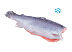 Форель радужная обезглавленная (тушка) мороженая потрошеная, 5,5-6,5 кг