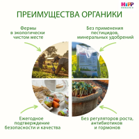 Пюре HiPP (Хипп) Тыквенный крем-супчик, 190 г
