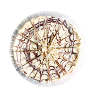 Торт Эстерхази замороженный, 1,08 кг (12 порций)