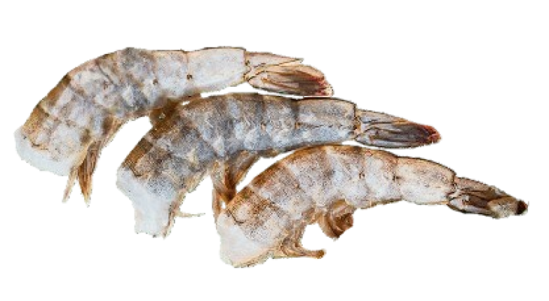 Креветка без головы в панцире мороженая 21/25 , 1 кг