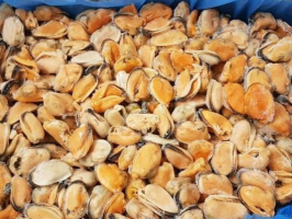 Клемы Вонголе мясо 300/500 варено-мороженые IQF, 10 кг