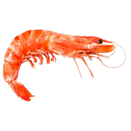 Креветка красная с головой в панцире L1, 2 кг