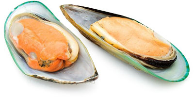 Мидии зелёные на полустворке раковины IQF 30/45, 1кг