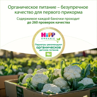 Пюре HiPP (Хипп) Цветная капуста, 80 г