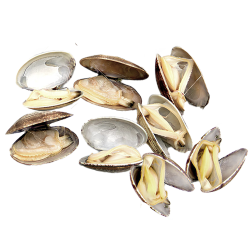 Клемы Вонголе в раковине варено-мороженые, 500 г