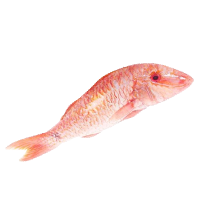 Барабулька целая с головой, размер 100-200 г, весовая