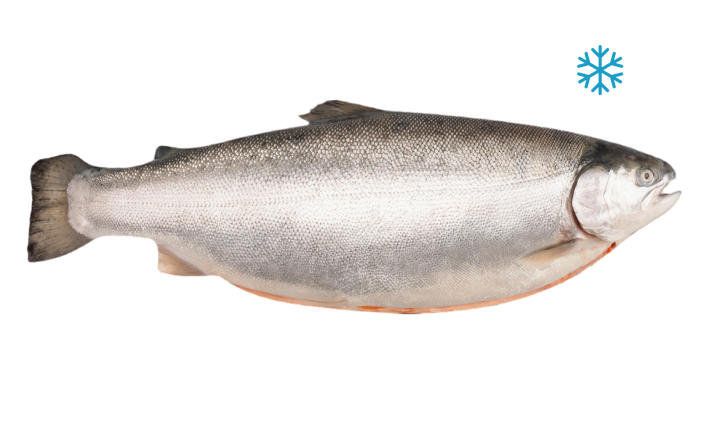 Форель радужная потрошеная с головой мороженная, 3-4  кг