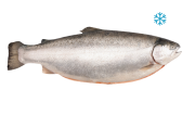 Форель радужная потрошеная с головой мороженная (тушка), 3-4  кг