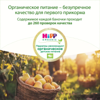 Пюре Груша. Мое первое пюре, 80 г