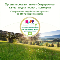 Пюре HiPP (Хипп) Тыквенный крем-супчик, 190 г