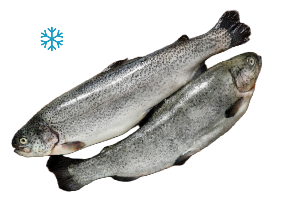 Форель (тушка) радужная потрошеная с головой мороженая, около 5-6 кг