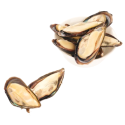 Мидии синие на полустворке раковины IQF 30/45, 1 кг