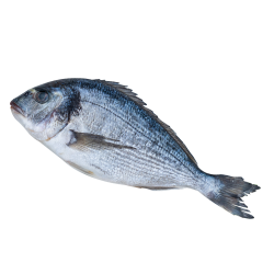 Дорадо непотрошеная IQF, размер 400-600 г, весовой