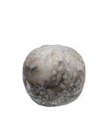 Осьминог очищенный свежемороженый, 2-3 кг, весовой